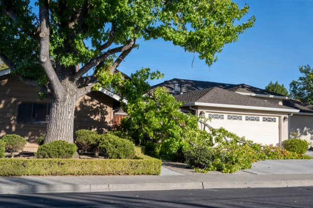 24/7 emergency tree removal Springfield MO